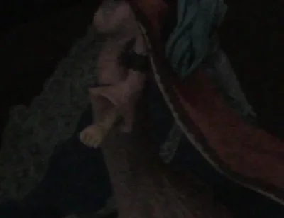 Late night SoF with Vivi Nefertari