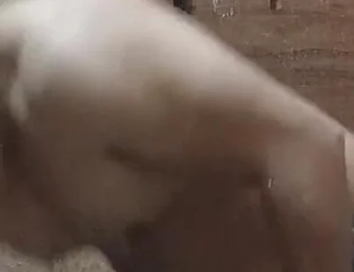 Bathroom Me Nanga Nahate Hue Bathing Video
