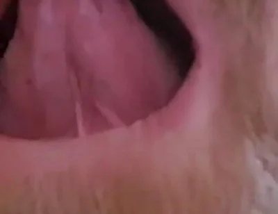 Mature Chubby Bear Toothless. Watch Inside My Toothless Mouth and Meet My Tongue - Mouth Fetish