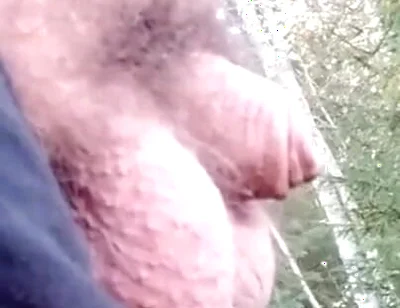 484118313627033600.mp4