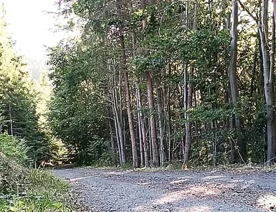 Scooter Rider Outdoor Masturbation