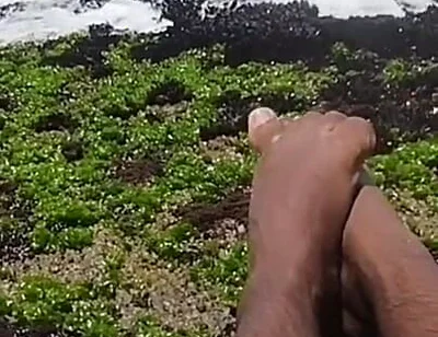 My Beautiful Feet After a Day of Work Taking Vitamin D on the Beach