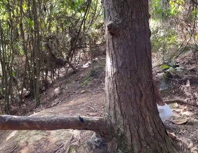 A Curious Heterosexual Boy Saw Me Masturbate in the Forest and We Ended up Fucking