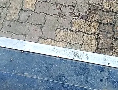 Desi Gay Boy Sucking Wife and Pussy