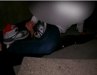 Sniffing Friends Dc Shoes And Socks