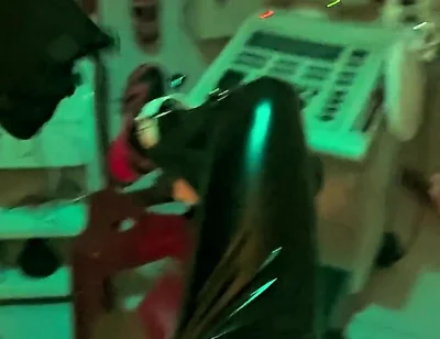 Playing Puppies the Second Examination