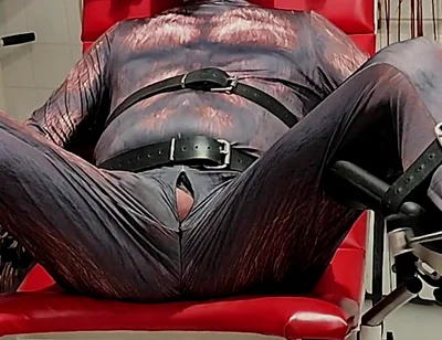 Playing Puppies the First Examination