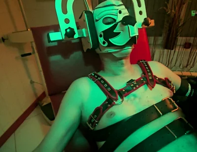 Playing Puppies the Second Examination