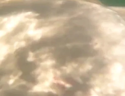 I Cum Just for the Pleasure of Feeling Free, Naked on a Public Beach