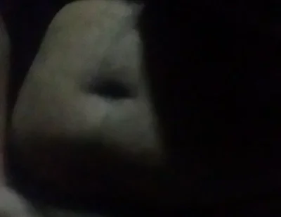 Full Cock Fun...free for You.....