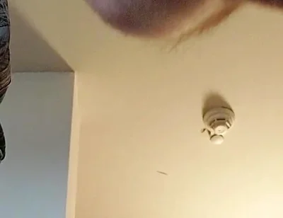 Bulge Xl