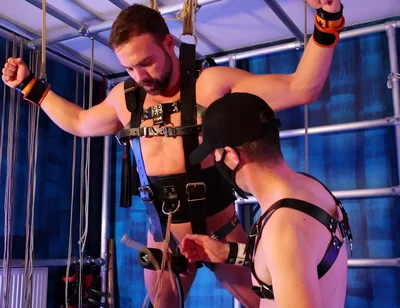 Suspended and Milked