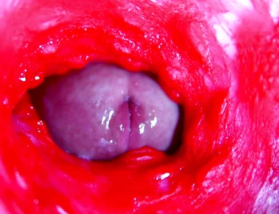 Extreme close-up ASMR head inside wet pussy