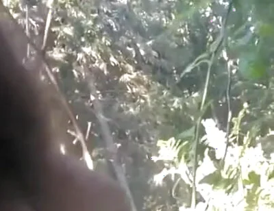 Pissing in My Backyard