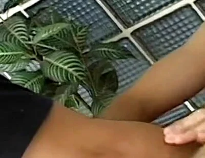Hot Twinks Gay Fuck Action - Mutual Anal Creampie Switch Hitter