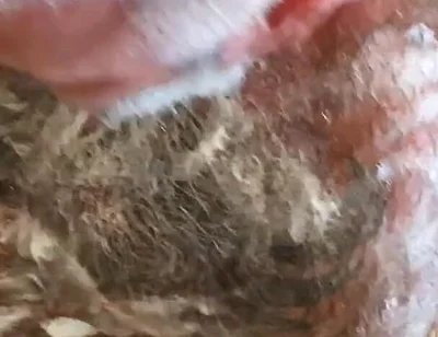 Still Dirty