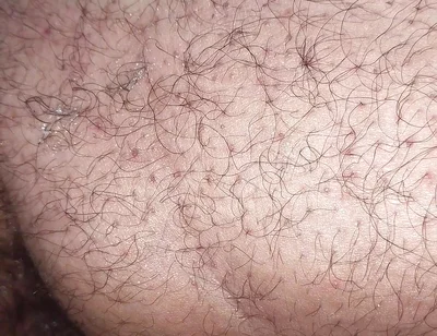 A Close up Ass Worshiping and Fingering