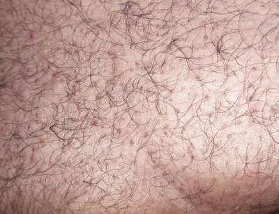 A Close up Ass Worshiping and Fingering