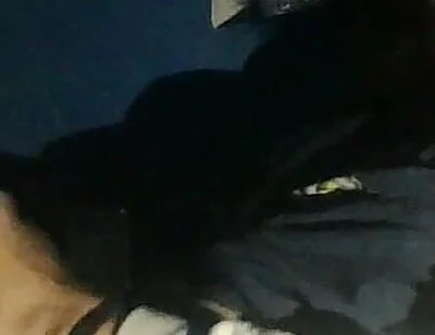 Watching Videos of Me Jerking