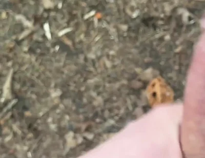 Solo Jerking off