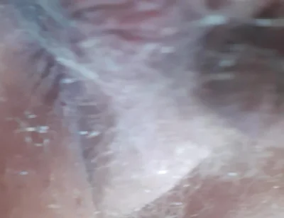 Fuck My Horny Anal Cunt