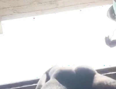 Doggy Bareback Below View