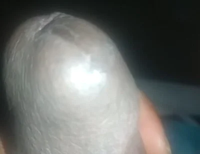 Big Black Dick Like to Masturbate Every Night Secretly