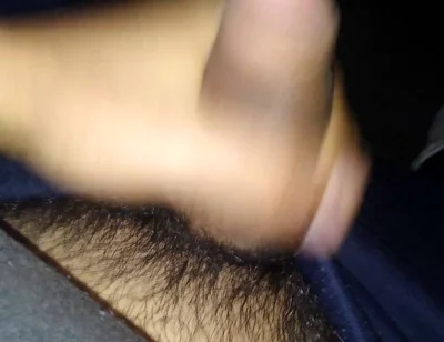 Pleasure in the Afternoon