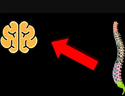 The Science Behind Male Multiple Orgasms