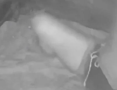 During His Jog, a Guy Discovers a Young Camper and Submits Him - Caught on Night Vision Cam