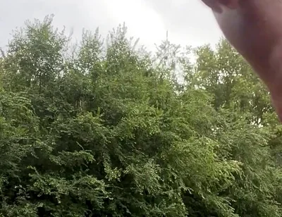 Jerking in the Woods