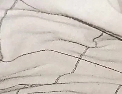 My Big Cock Without Condom Fucking Pussy