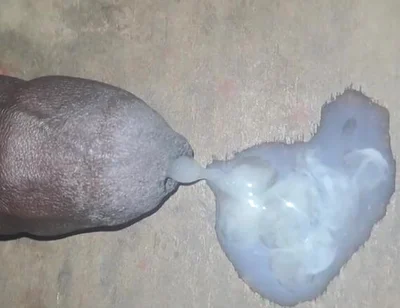 A Big Black Cock Full of Cum