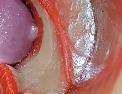 Compilation Creampie Part 2 POV