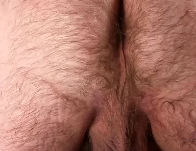Would You Fuck That Hairy Bear Hole and Tickle Those Big Bear Balls?