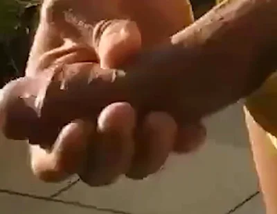 Wife Suck Cock in Nudist Beach House