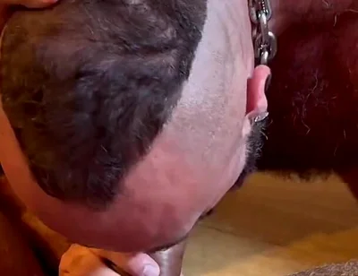 Hairy Males Fucking