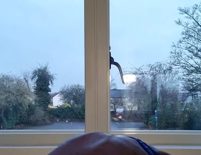 The Blue Harness and Jock