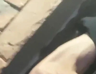 Tommy Went to the Store for Food, When He Comes Back He Will Fuck Hans