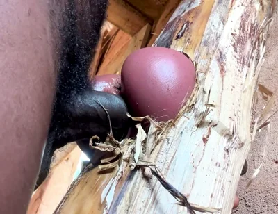 Ass Is Very Sweet in My Prison Room