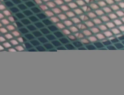 Show My Fat Ass and Balls on the Chair