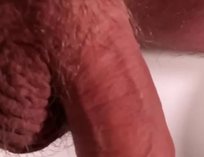 Exposed Glans, Naked and Relaxed Bear