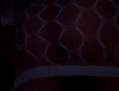 Just My Booty