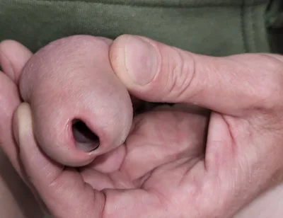 Urethral Toys and Gaping Pee Hole While Urinating