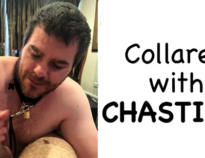 Pup Giving Me a Blowjob and Showing off