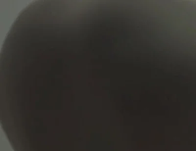 Essasex