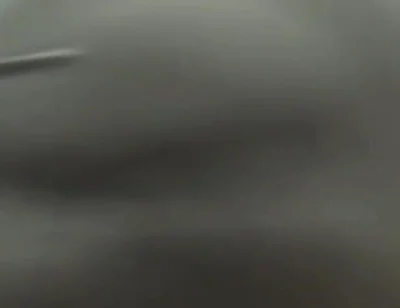 Essasexe 2