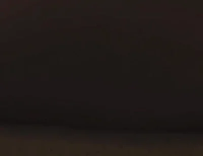 Essa Is Ass44