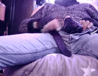 Stepdaddy Is Fooling Around Part 3 (cumming)