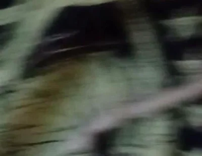 Sprayed